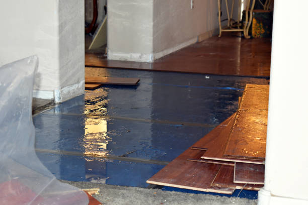 Professional Storm Water Damage Restoration technician working in Liberty, IN